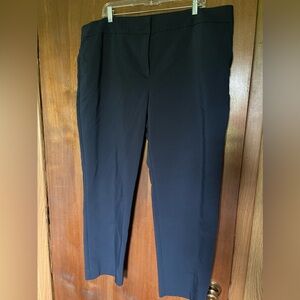 Ann Taylor Navy Slacks sz18